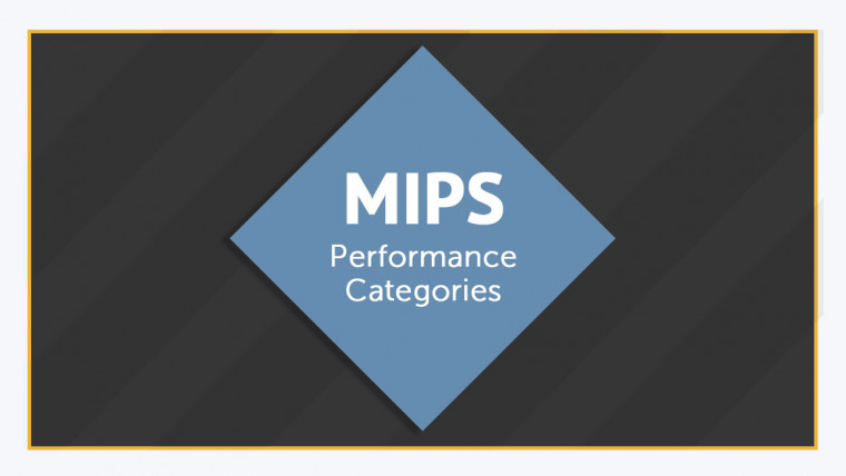 MIPS Performance Categories